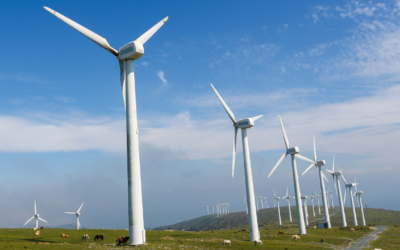 Energia wiatrowa: klucz do zrównoważonego rozwoju